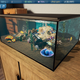 Illustration for article titled Relax, With A Game About Owning A Fish Tank